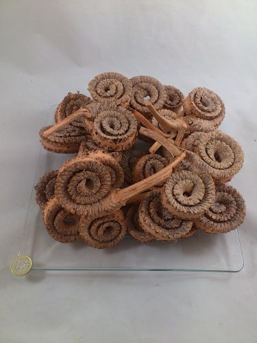 Palm ring 15 p. salmon